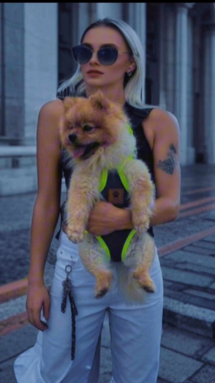 Pet Taşıyıcı Çantanızın Hijyenini 5 Dakikada Nasıl Korursunuz?