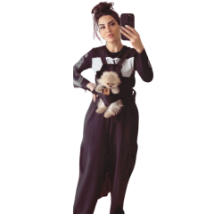 Kedi ve Köpek Ana Kucağı