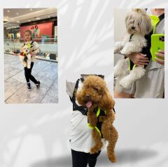Kedi ve Köpek Ana Kucağı Yeşil - Xxs