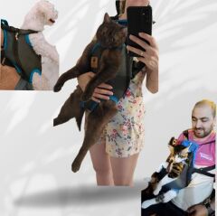 Kedi ve Köpek Ana Kucağı Mavi - Xxs
