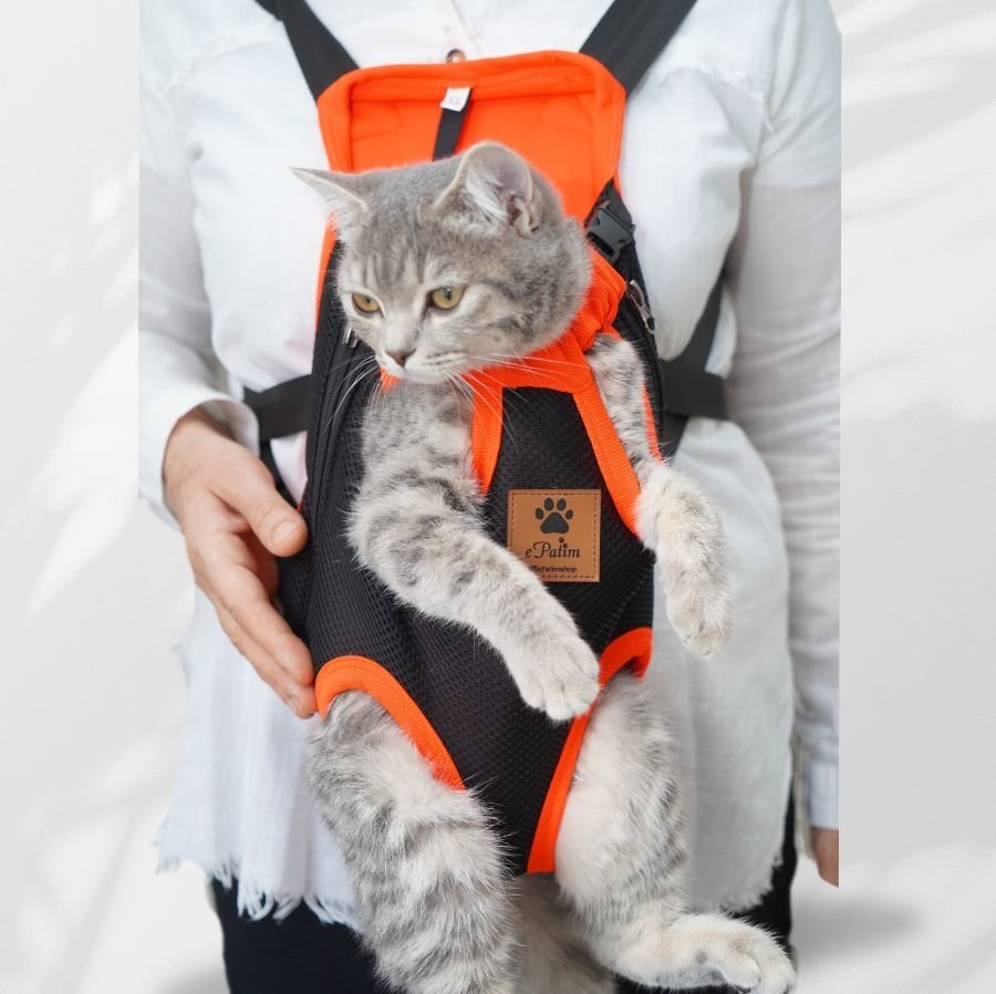 Kedi ve Köpek Ana Kucağı Oranj - Xxs