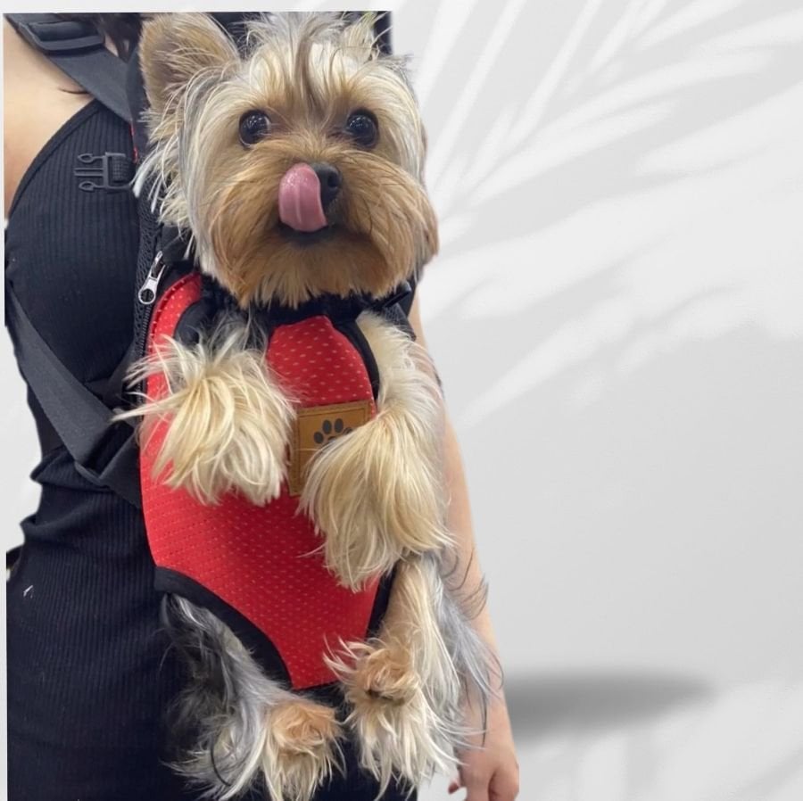 Kedi ve Köpek Ana Kucağı Kırmızı - Xxs