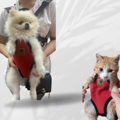 Kedi ve Köpek Ana Kucağı Kırmızı - Xxs