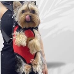 Kedi ve Köpek Ana Kucağı Kırmızı - Xs