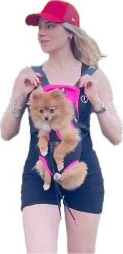 Kedi ve Köpek Ana Kucağı Fuşya - S