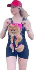 Kedi ve Köpek Ana Kucağı Fuşya - S