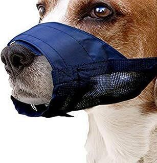 Pawise Bez Köpek Ağızlığı No:1 Xs