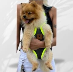 Kedi ve Köpek Ana Kucağı Yeşil - M
