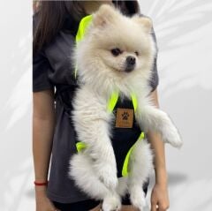 Kedi ve Köpek Ana Kucağı Yeşil - L