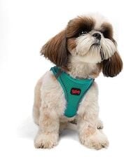 Tailpetz Air-Mesh Köpek Göğüs Tasması (Emerald, Small)