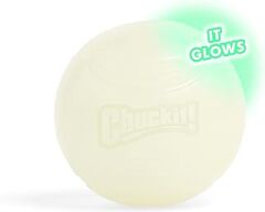 Chuckit! Max Glow Gece Parlayan Köpek Oyun Topu (Large)