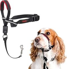 Company of Animals Halti Optifit Ağızlıklı Tasma, Orta Boy Siyah