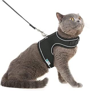 BYPET Yeni Nesil Nefes Alabilen Kedi Göğüs Tasması Seti (Small, Siyah)