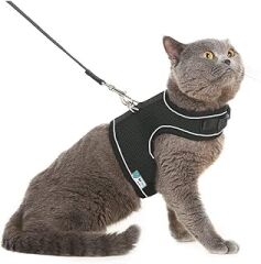 BYPET Yeni Nesil Nefes Alabilen Kedi Göğüs Tasması Seti (Small, Siyah)