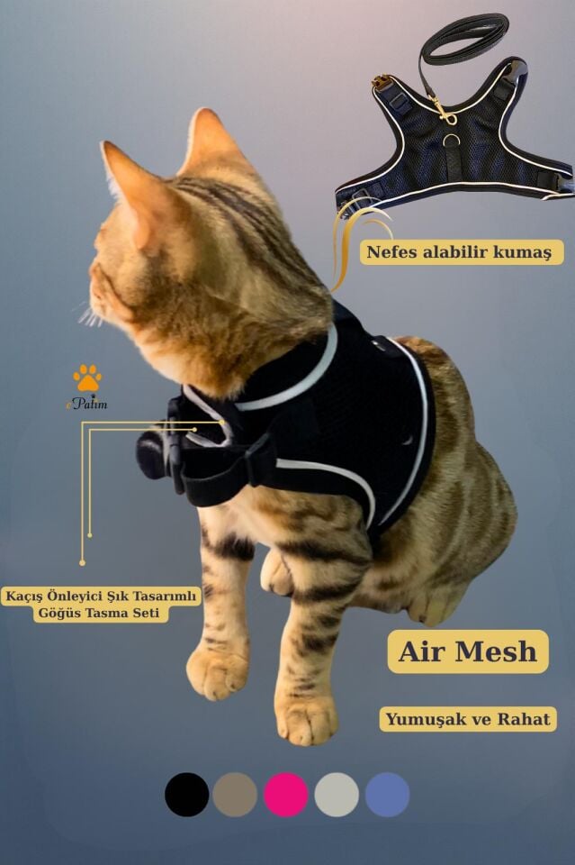 ePatim Yeni Nesil Nefes Alabilen Kedi Göğüs Tasması Seti Siyah - L