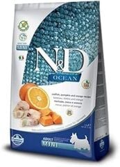 N&D Ocean Kuru Köpek Maması, Morina Balığı, Balkabağı & Portakallı, Yetişkin Mini, 2.5 kg
