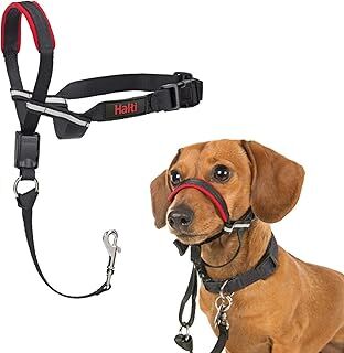 Company of Animals Halti Optifit Baş Tasması - Dolgulu Burun Bandı, Ayarlanabilir ve Yansıtıcı, Küçük Köpekler için Profesyonel Çekme Önleyici Eğitim Yardımcısı (S Boy)