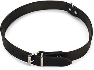Karlie Deri Evcil Hayvan Boyun Tasması, 27 cm-10 mm, Siyah