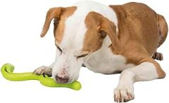 Trixie Köpek Ödül Oyuncağı, Yeşil Yılan, Tpr, 42Cm