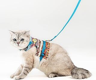 Patipatron Kaçış Önleyici Kedi Gezdirme Tasması Ve Küçük Irk Köpek Gezdirme Tasması (Kilim Desen Mavi, L)