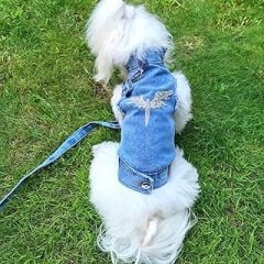 PATİSU PET CLUB Taş Detaylı Jean Köpek Ceketi Ve Sevk Kayışı Takım Kedi Kıyafeti & Köpek Kıyafeti (X-Small)