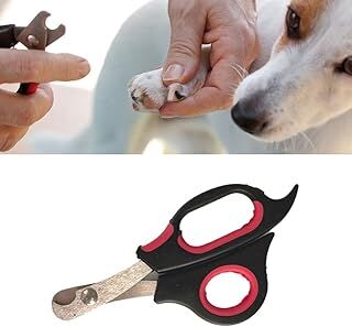 Outdoor Outlet Büyük Irk Köpek Kedi Çelik Uçlu Evcil Hayvan Tırnak Makası Pati Bakım Aleti Ergonomik Kaymaz