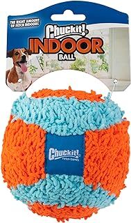 Chuckit! Indoor Fetch Ball Dog Toy