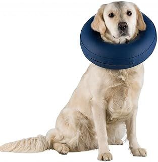 Trixie Köpek Koruyucu Şişme Yakalık Xs, Mavi