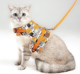 Patipatron Kaçış Önleyici Kedi Gezdirme Tasması Ve Küçük Irk Köpek Gezdirme Tasması (Turuncu Kedi Desenli, M)