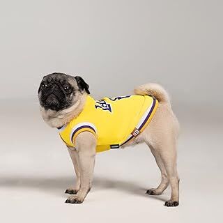 SALYA STORE Köpek Yazlık Forma Lakers (Küçük ırklar için 0-15kg) (Medium)