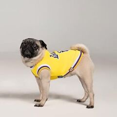 SALYA STORE Köpek Yazlık Forma Lakers (Küçük ırklar için 0-15kg) (Medium)