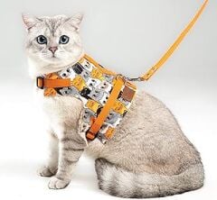 Patipatron Kaçış Önleyici Kedi Gezdirme Tasması Ve Küçük Irk Köpek Gezdirme Tasması (Turuncu Kedi Desenli, L)