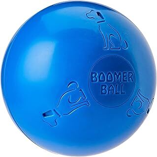 Company of Animals Boomer Köpek için Sert Oyun Topu 15cm