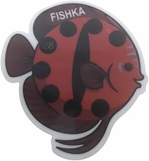 Akvaryum Yapışkan Discus Balığı Derece