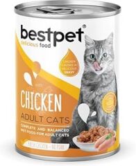 Bestpet Yetişkin Kediler İçin, Taze Hindi Parça Etli Ve Soslu Yaş Mama, 400 g x 12 Adet Standart