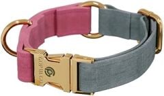 GOPAWGO Supreme Quick Release Premium Köpek Tasması | El Yapımı | Büyük ve Küçük Köpekler için Ayarlanabilir | Yavru Köpekler için Yumuşak (XSmall)