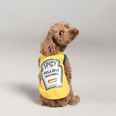 SALYA STORE Mustard Yazlık Köpek Atlet (kedi,köpek Kıyafeti Küçük Irklar) (XX-Large)