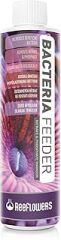 Reeflowers Bacteria Feeder Akvaryum Nitratve Fosfat Düşürücü 85 Ml BF85 Renkli