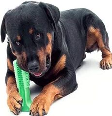 Köpek Diş Fırçası Isırma Aparatı Büyük Boy