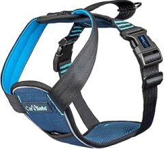 Company of Animals CarSafe Çarpışma Testli Köpek Harness Göğüs Tasması, Small Mavi