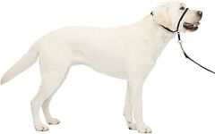 PetSafe Nazik Leader Baş Yaka, Çekmesiz Köpek Tasması, Büyük 27-59 kg, Siyah