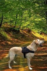 bypet Köpek Göğüs Tasması Büyük Irk Köpek Tasması Dog Police K9 Tasma