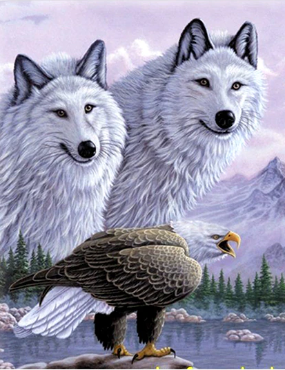 3 Boyutlu Resim  Kartallı Kurt Resmi Tablosu 40x60 cm
