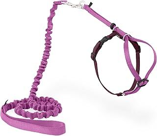 PetSafe Come With Me Kitty Koşum Takımı ve Bungee Tasma, Kediler için Koşum, Büyük, Tozlu Gül/Bordo