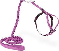 PetSafe Come With Me Kitty Koşum Takımı ve Bungee Tasma, Kediler için Koşum, Büyük, Tozlu Gül/Bordo
