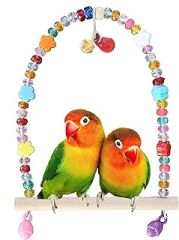 hiday kuş ve kedi ürünleri Papağan Salıncağı