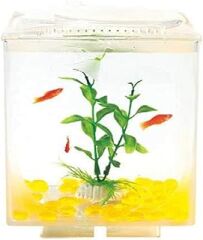 Resun Aquasyncroapple Windows Masa Akvaryumu, 15x15x18
