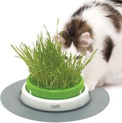 CATIT Grass Planter, kedi otu, kapaklı kedi kazığı, 1 adet (tekli paket)