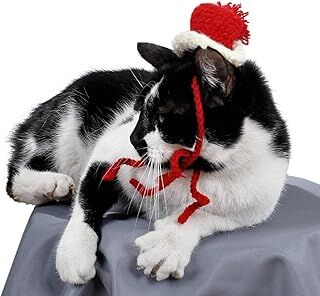 X-Perk Örme Kedi Şapkası Yılbaşı Şapkası