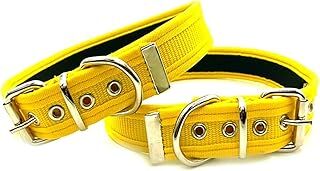 Mizgin Yumuşak Dokulu Kolon Köpek Tasması (S, Sarı)
